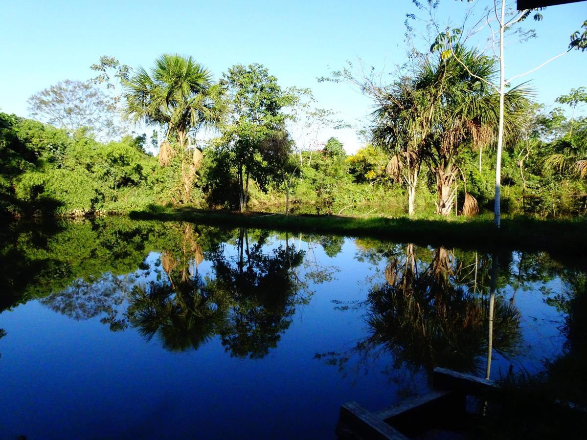 Villa Hermosa De Tambopata Casa Hospedaje & Hostel Пуэрто-Мальдонадо Экстерьер фото